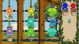 genebloom-greenhouse.jpg